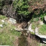 Andros 004