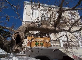 Τι να τα κάνεις τα λεφτά… άμα δεν έχεις πλάτανο;