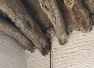 Το φίδι στις Μυρμηγκιές