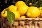 lemon1
