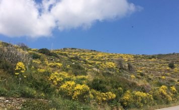 Άνδρος η προεκλογική…φύση