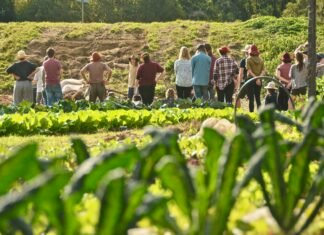 Οι νέοι αγρότες έχουν τα μεγαλύτερα κίνητρα