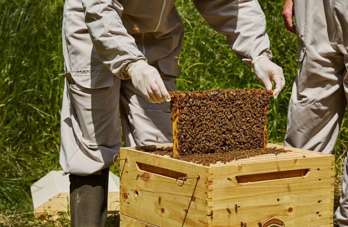 Αφορά τους μελισσοκόμους