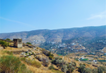 Εταιρεία Ανδρίων Επιστημόνων: Τί Άνδρο θέλουμε; Korthi Agia Marina