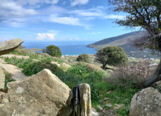 Andros trail FF