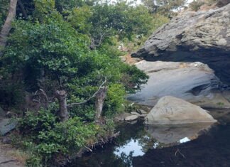 Ερωτηματολόγιο έρευνας για τη χρήση του νερού στην Άνδρο Pythara 2024 (1)