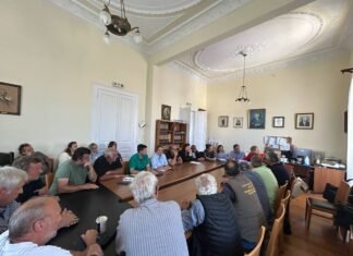 Δ.Α.: Τηλεδιάσκεψη για το Τ.Π.Σ.