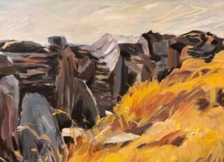 Οι ξερολιθιές της Ειρήνης Δανιόλου Νεοφύτου