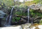 Pythara_0290