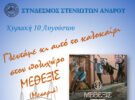 stenies 1