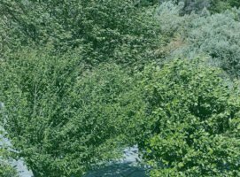 Συνεχίζεται ο αέρας