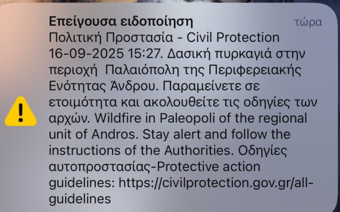 Σε εξέλιξη η φωτιά στην Παλαιόπολη