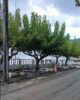 neiborio 7