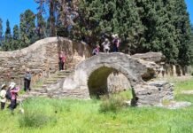 Andros Routes no17 Livadia