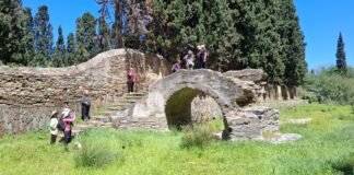 Andros Routes no17 Livadia