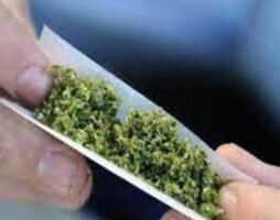 Αλκοόλ, κάνναβη και τυχερά παιχνίδια στους 16χρονους του Νοτίου Αιγαίου