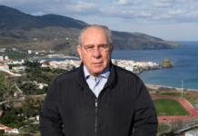 Dimitris N Giannisis-1