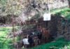 “Συνελήφθησαν” ανεπιτήρητα ζώα στα Ρέματα