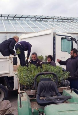 Πράσινο από την ΠΝΑ στην Άνδρο