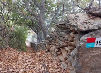 15 Χρόνια Andros Routes: Από το Όραμα στην Ευρωπαϊκή Πρωτοπορία Vraxnou_Andros Routes