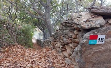 15 Χρόνια Andros Routes: Από το Όραμα στην Ευρωπαϊκή Πρωτοπορία Vraxnou_Andros Routes