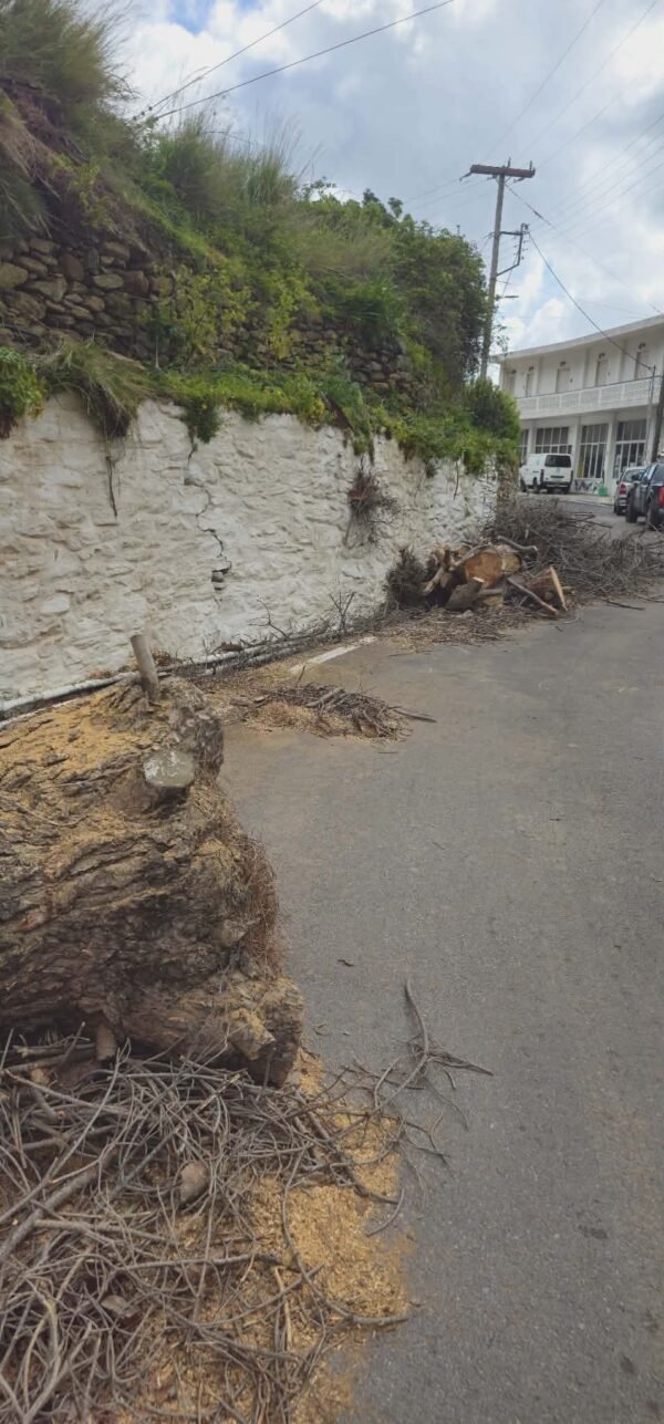 Erminio - Άνδρος 2.4.2026