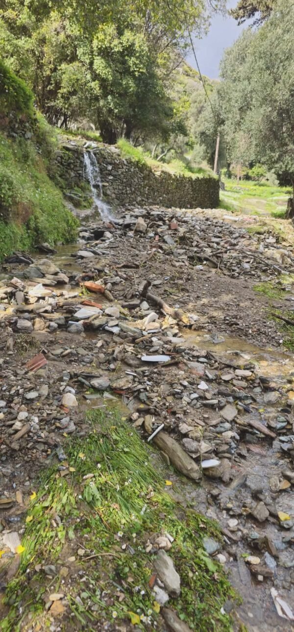 Erminio - Άνδρος 2.4.2026