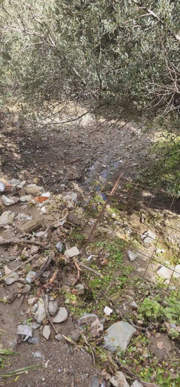 Erminio - Άνδρος 2.4.2026