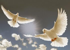 Η ομόνοια είναι του Χριστού ενώ η διχόνοια είναι του Διαβόλου