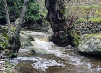 Erminio – Άνδρος 2.4.2026