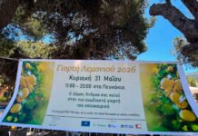 Γιορτή Λεμονιού 2026