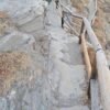 Pidima Grias (4)