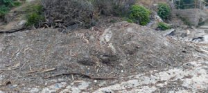 Η εγκατάλειψη των Γιαλίων