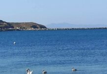 Ποιο είναι το πρόβλημα; Η ανοχή μας στη ζωή;