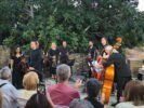 mesaria festival 10