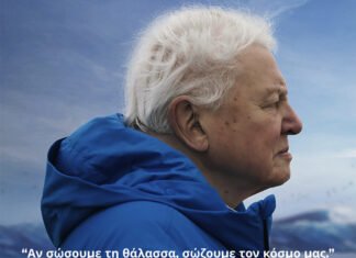 Andros Routes: Μια βραδιά για τη θάλασσα και το μέλλον μας