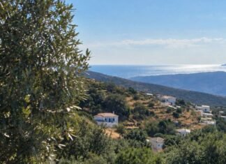 Άμεση σύγκληση του Δημοτικού Συμβουλίου ζητά η δημοτική παράταξη Μαζί για την Ανδρο για τα φωτοβολταϊκά στο Βουνί