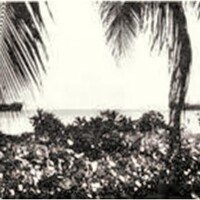 Τόπος Συνάντησης Kormoran-Kulmerland