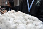 Ενα άσπρο σύννεφο άχνης ζάχαρης πάνω στα αμυγδαλωτά του Λωνίδα Ζαϊρη.