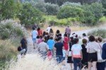 Photo: Μ. Μακρογκίκας