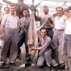 Στον Ισημερινό